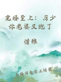 宠婚至上:厉少你老婆又跑了