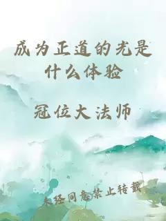 成为正道的光是什么体验